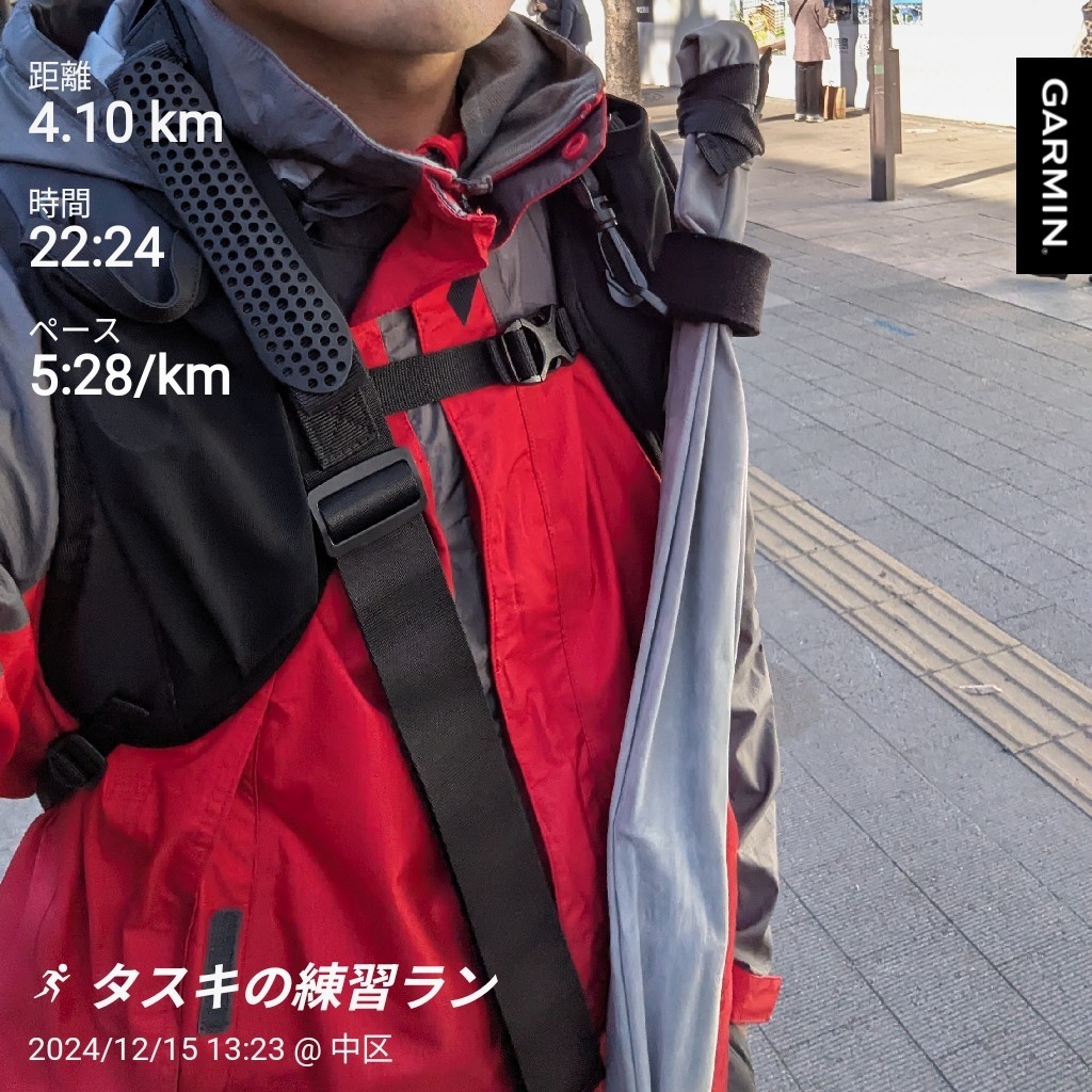 f:id:satoshi_cs12:20241216092551j:image