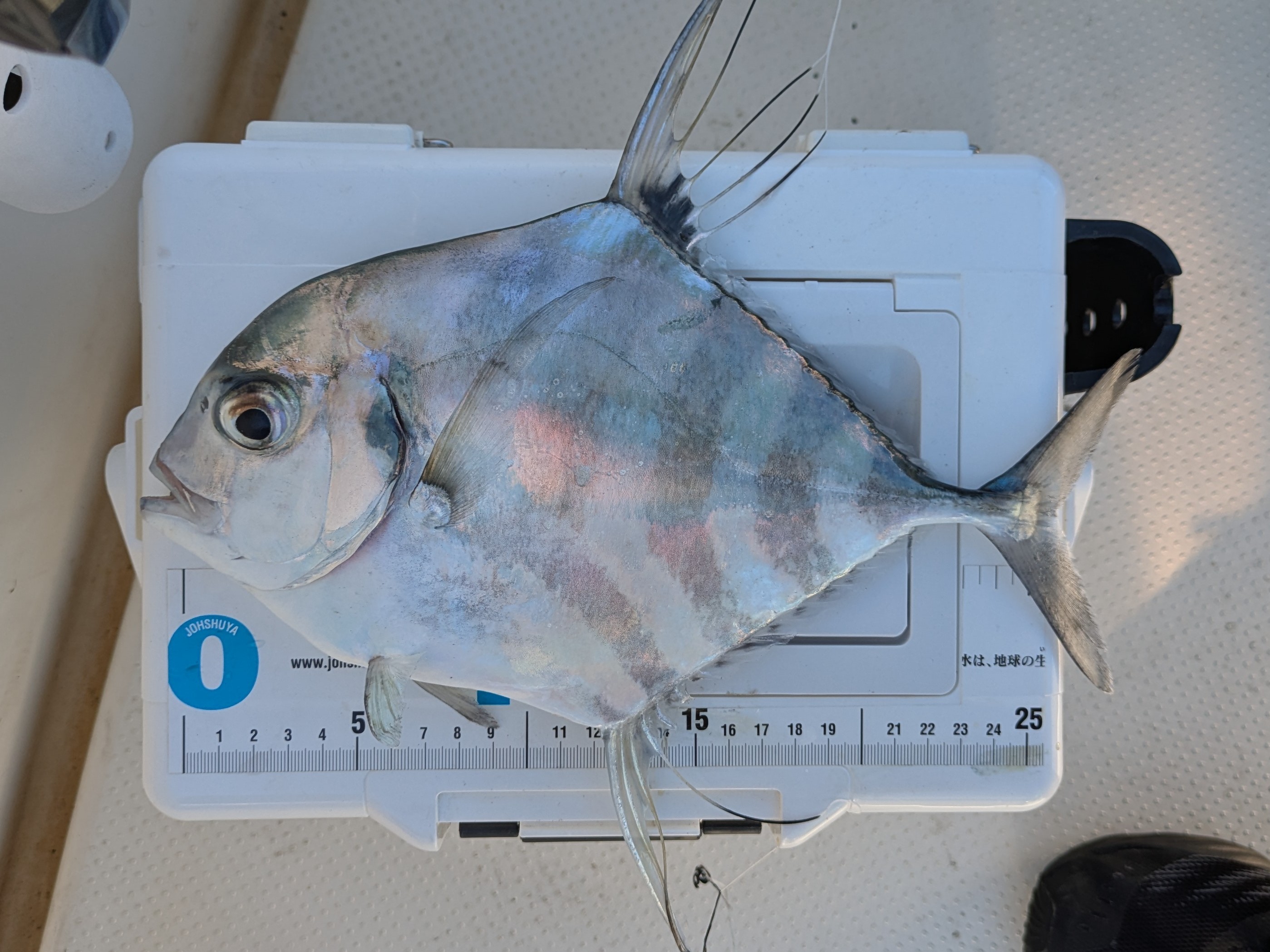 f:id:satoshi_cs12:20241224152656j:image f:id:satoshi_cs12:20241224152656j:image