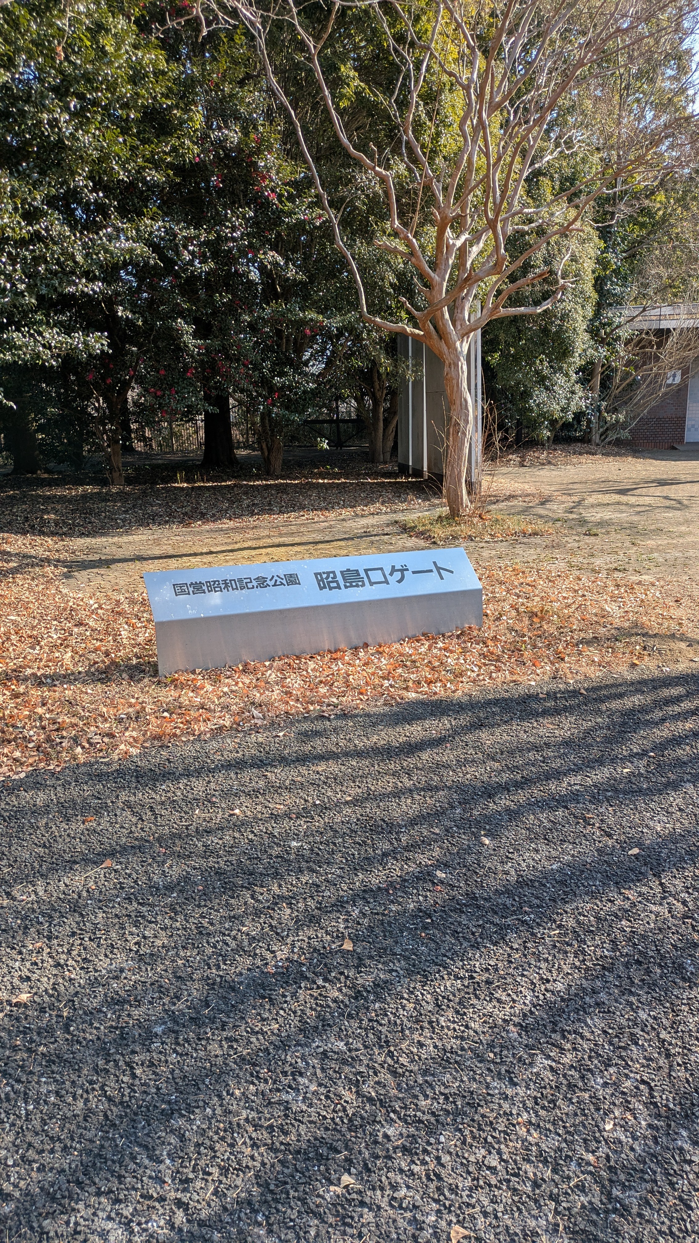 f:id:satoshi_cs12:20250213083624j:image