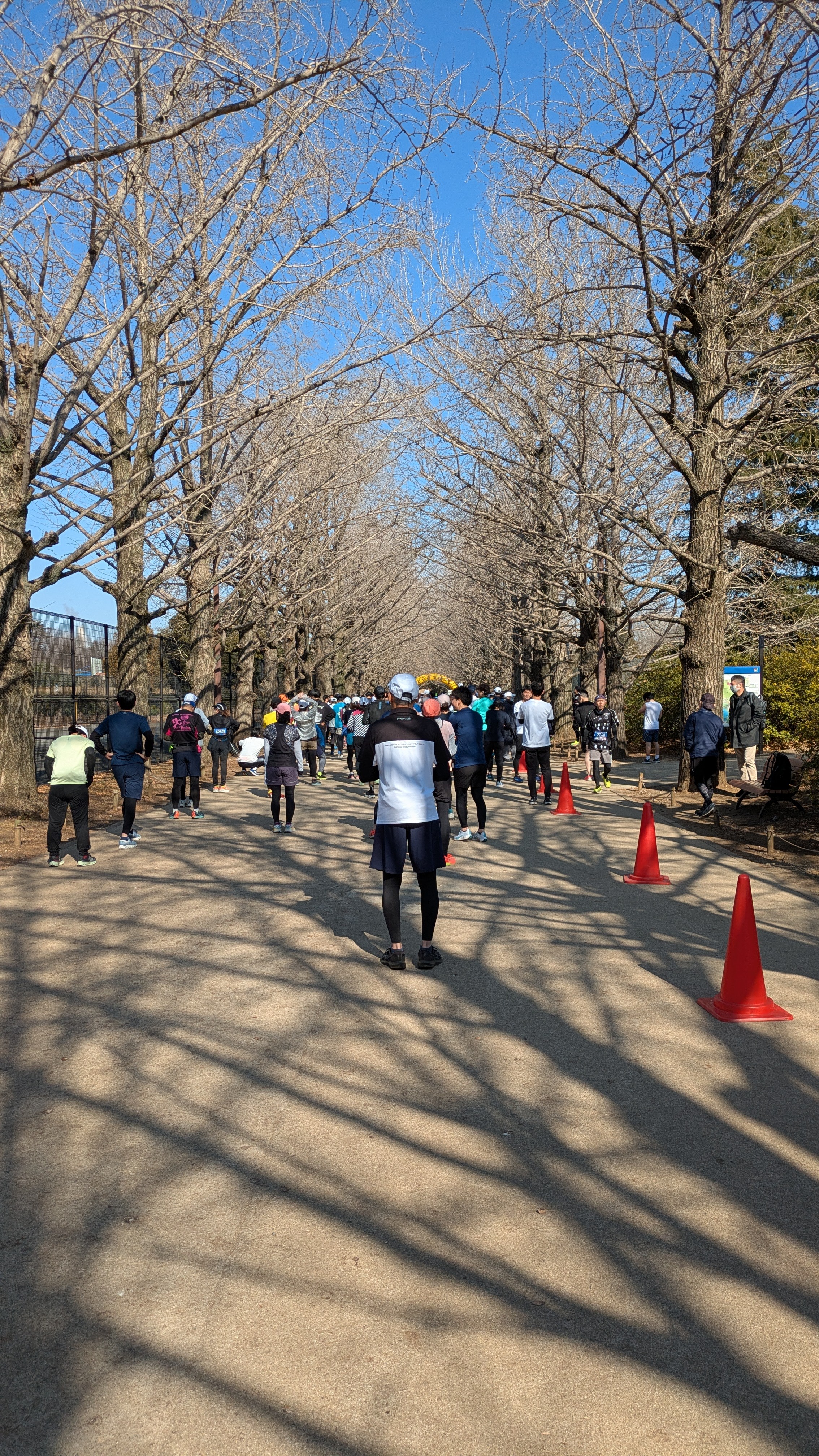 f:id:satoshi_cs12:20250213084300j:image