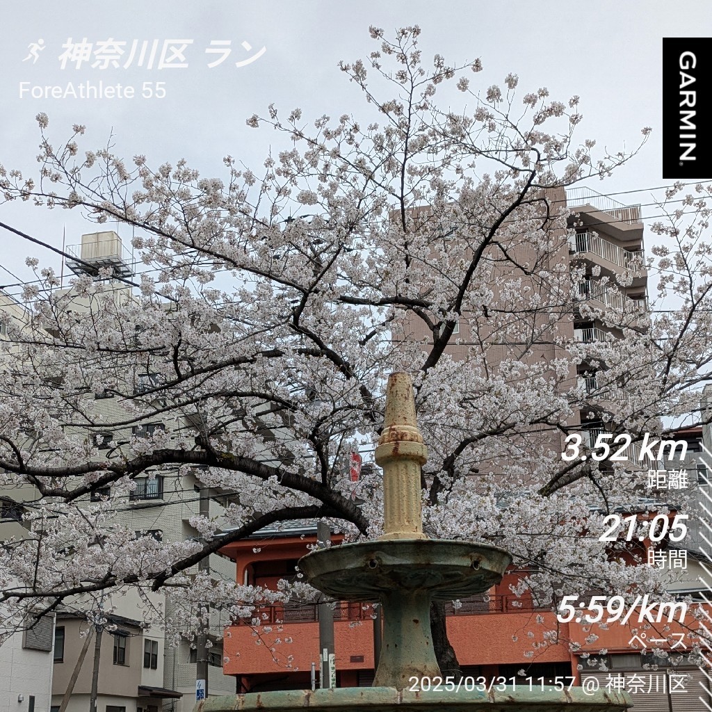 f:id:satoshi_cs12:20250331202726j:image f:id:satoshi_cs12:20250331202726j:image