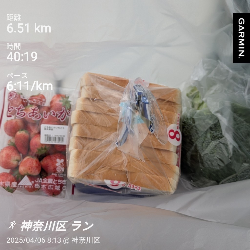 f:id:satoshi_cs12:20250406190048j:image