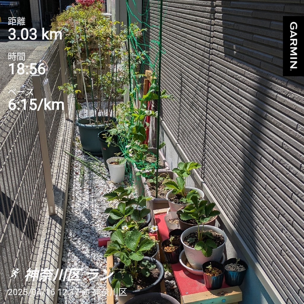 f:id:satoshi_cs12:20250416141610j:image