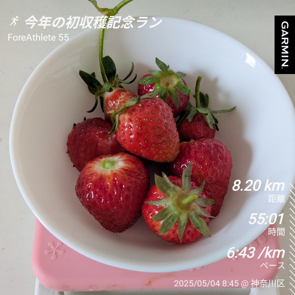 f:id:satoshi_cs12:20250505230346j:image