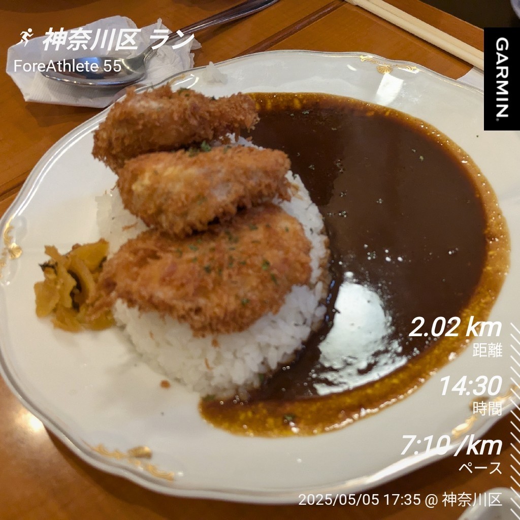 f:id:satoshi_cs12:20250505230407j:image