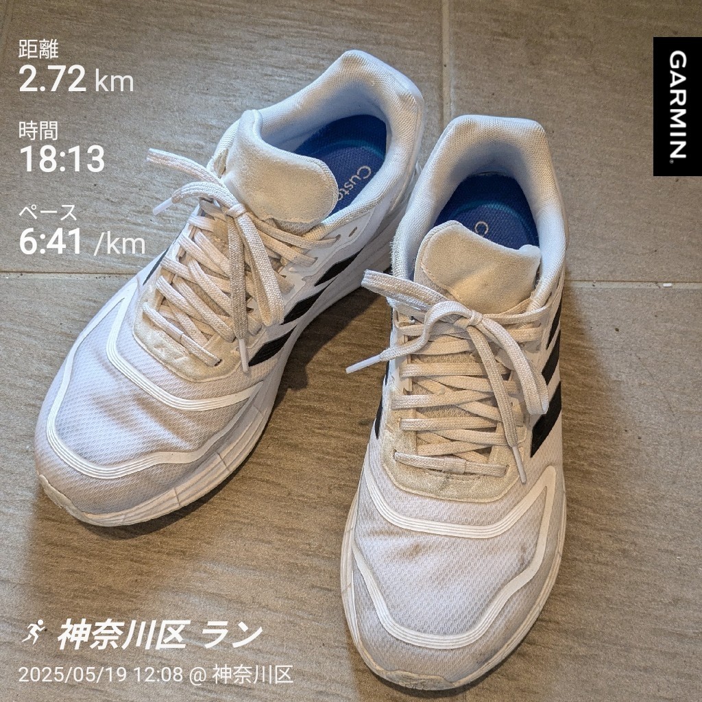 f:id:satoshi_cs12:20250519163958j:image