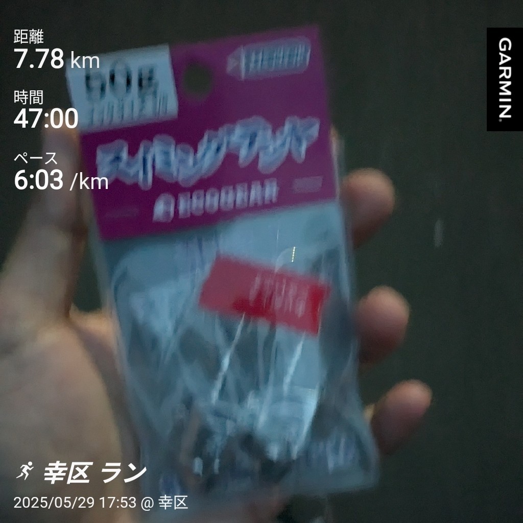 f:id:satoshi_cs12:20250529204354j:image
