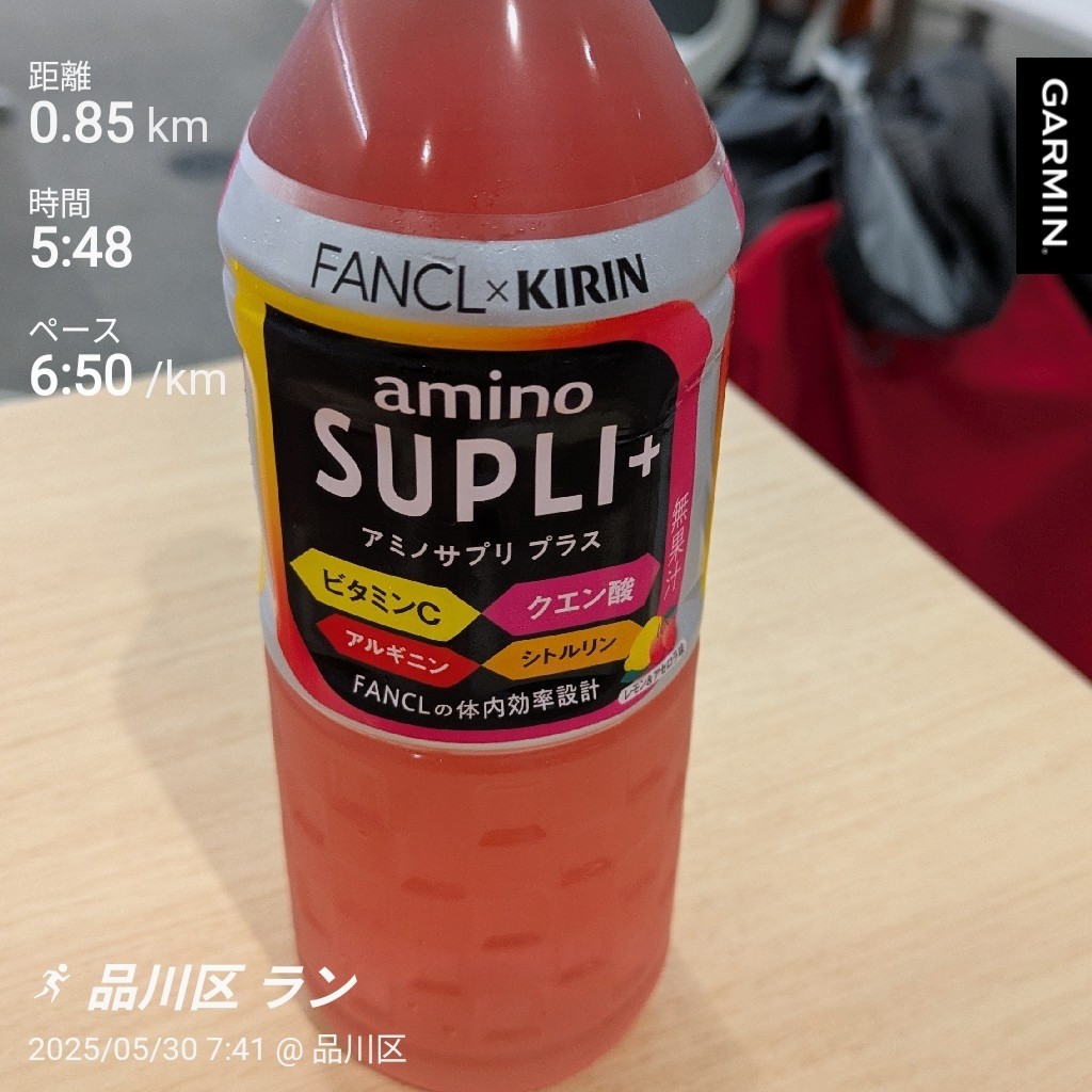 f:id:satoshi_cs12:20250530092449j:image