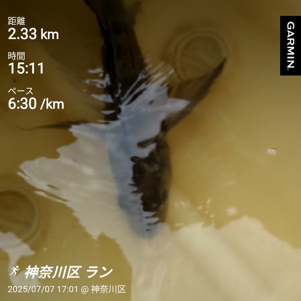 f:id:satoshi_cs12:20250707194547j:image