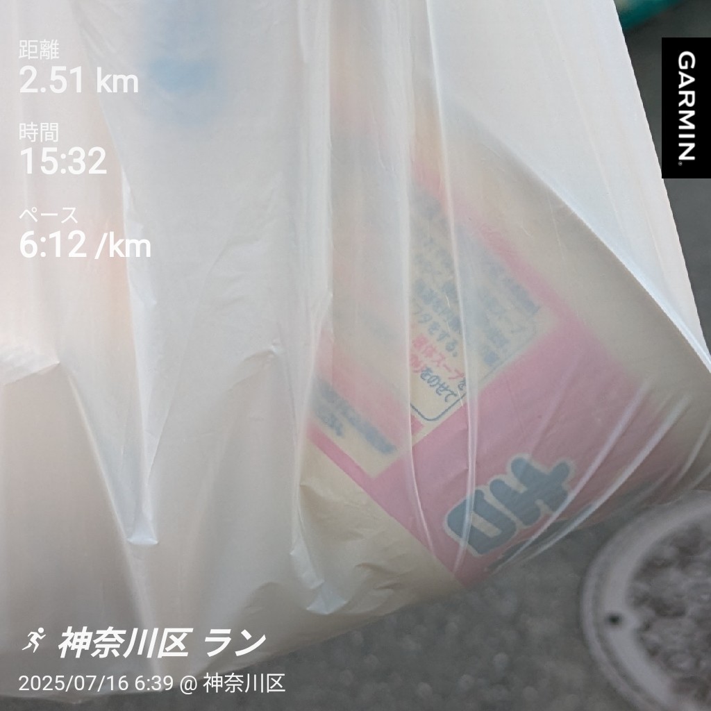 f:id:satoshi_cs12:20250716110359j:image