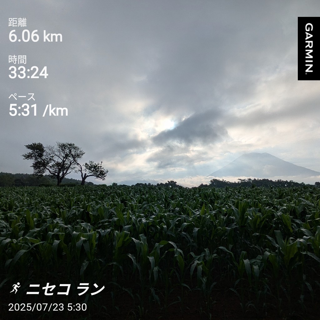 f:id:satoshi_cs12:20250724054219j:image