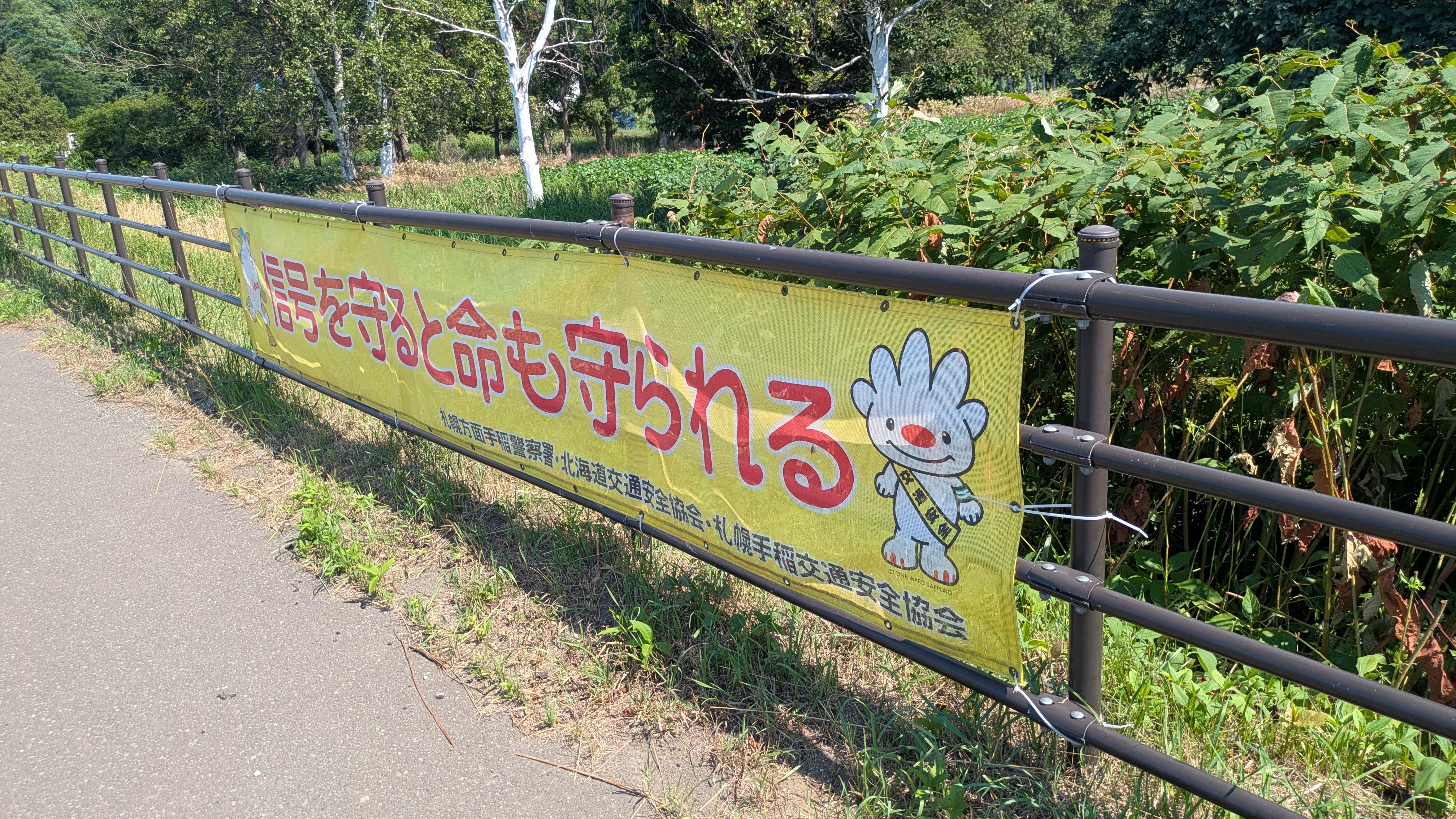 f:id:satoshi_cs12:20250725170506j:image