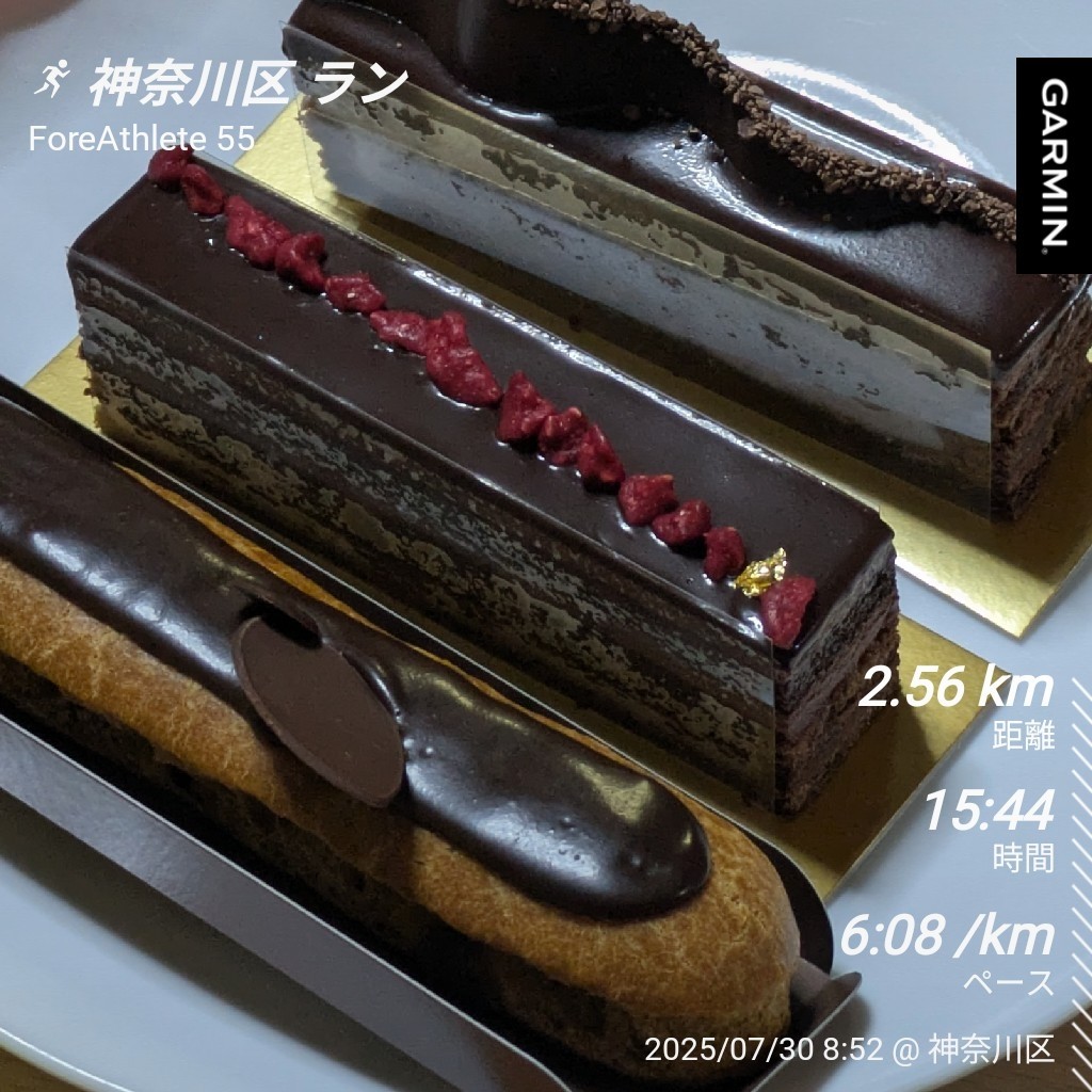 f:id:satoshi_cs12:20250731072704j:image