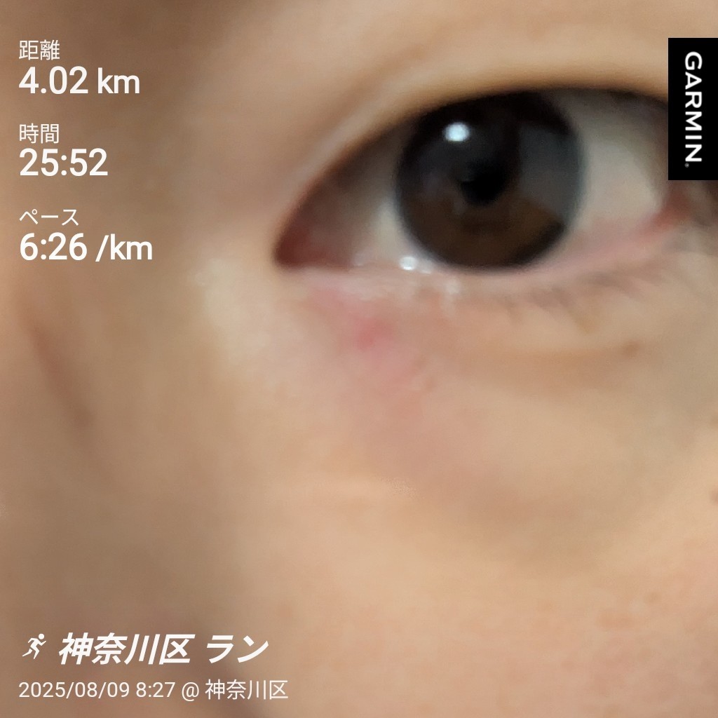 f:id:satoshi_cs12:20250811150808j:image