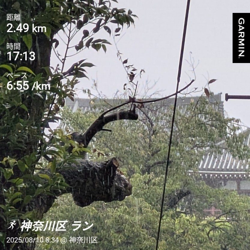 f:id:satoshi_cs12:20250811150820j:image