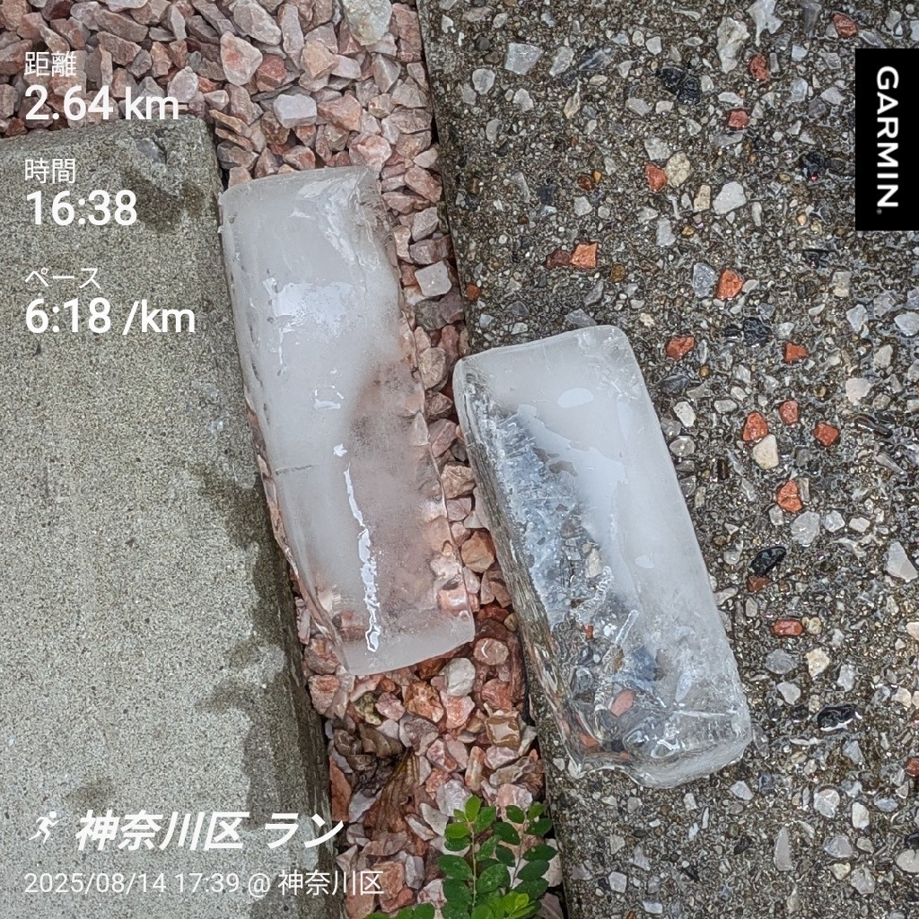 f:id:satoshi_cs12:20250814192627j:image