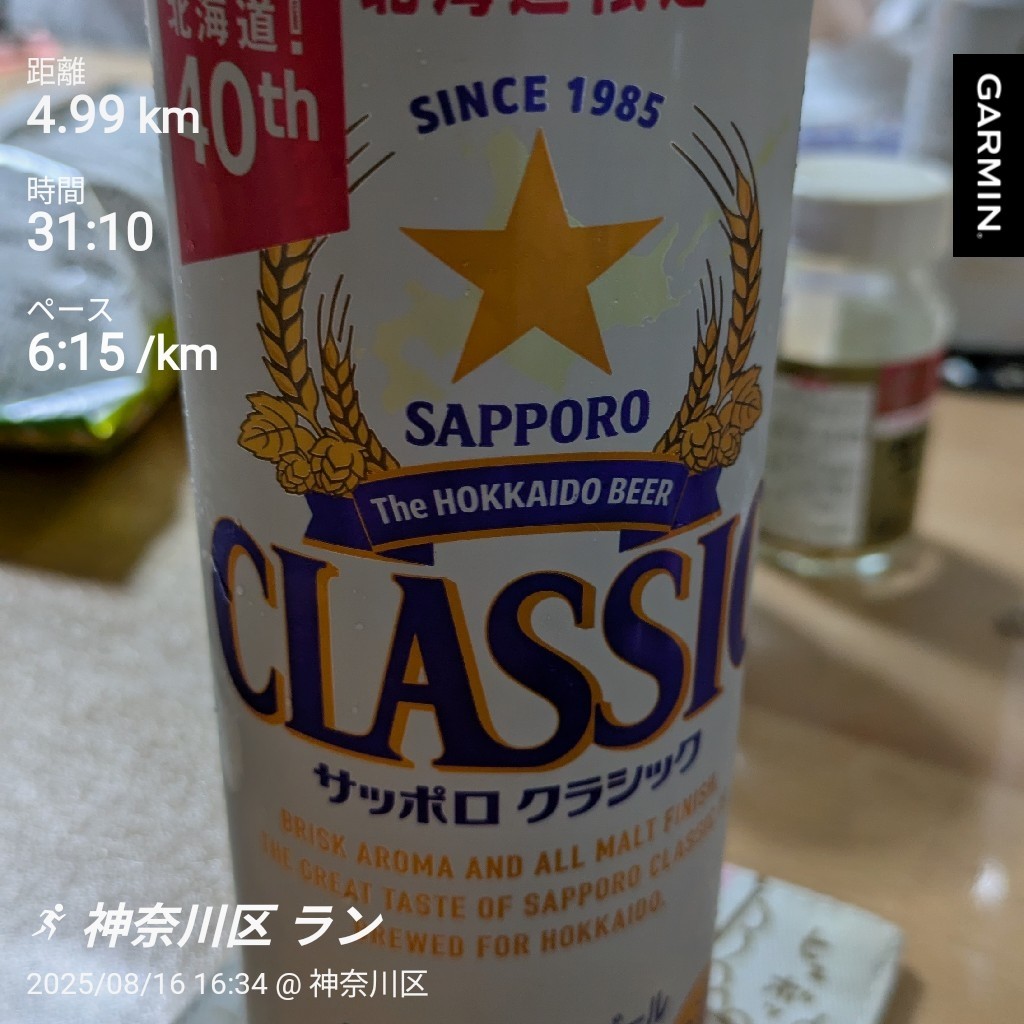 f:id:satoshi_cs12:20250817130524j:image