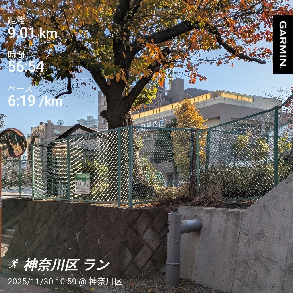 f:id:satoshi_cs12:20251130144046j:image