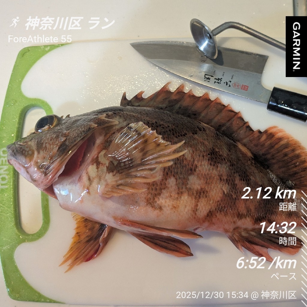 f:id:satoshi_cs12:20251231232801j:image