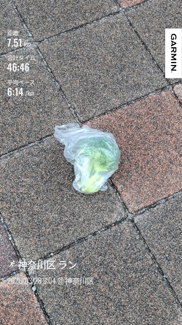 f:id:satoshi_cs12:20260328135049j:image f:id:satoshi_cs12:20260328135049j:image