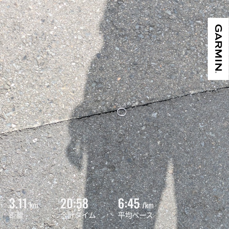 f:id:satoshi_cs12:20260605081821j:image
