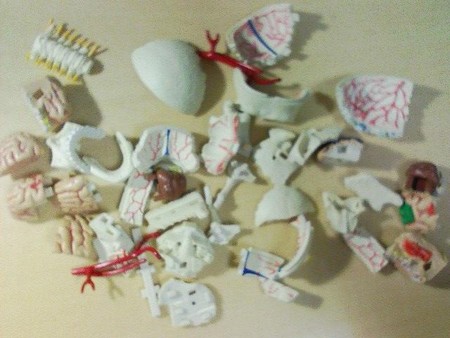 f:id:satoshi_kodama:20080525235643j:image