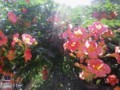 20080903111208