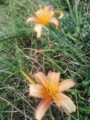 20080906160258