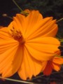 20080913150225