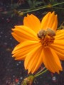 20080914010904