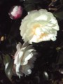 20081021092147