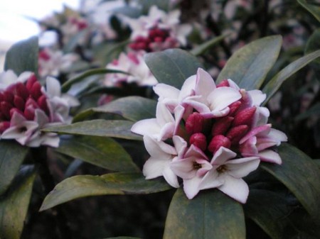 f:id:satoshi_kodama:20090221172805j:image