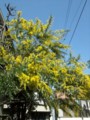 20100227235217