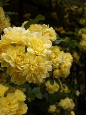f:id:satoshi_kodama:20110430125700j:image