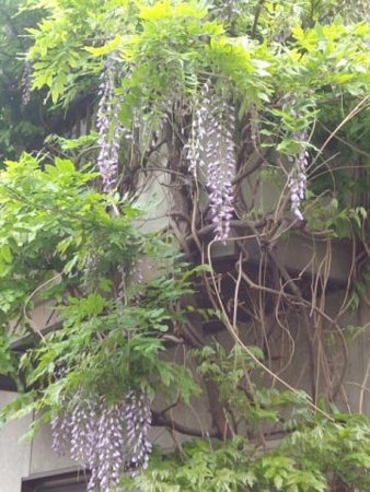 f:id:satoshi_kodama:20110430125834j:image
