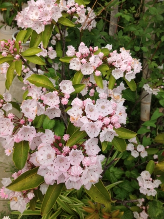 20120520142005