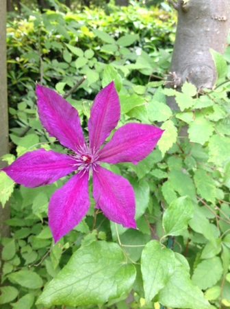 20120526154854