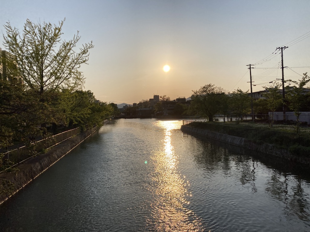 f:id:satoshi_kodama:20200428174804j:plain f:id:satoshi_kodama:20200428174804j:plain