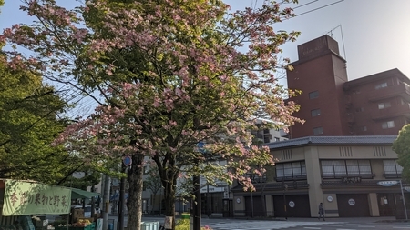 f:id:satoshi_kodama:20210419210343j:plain