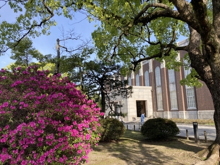 f:id:satoshi_kodama:20210423210358j:plain
