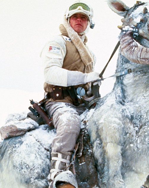 f:id:satosugar0:20191219115512j:plain