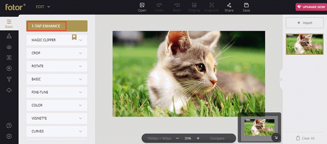 f:id:satouhikari:20220107123705j:plain