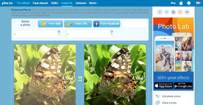 f:id:satouhikari:20220107123717j:plain