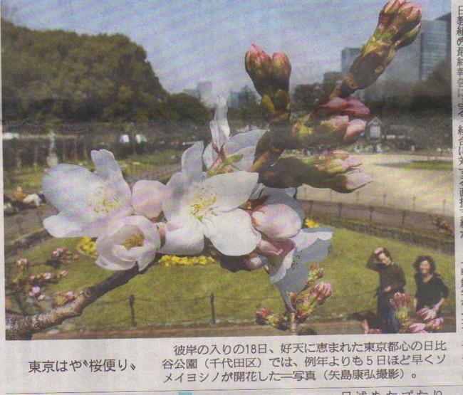 f:id:satoumamoru:20100319114320j:image f:id:satoumamoru:20100319114320j:image