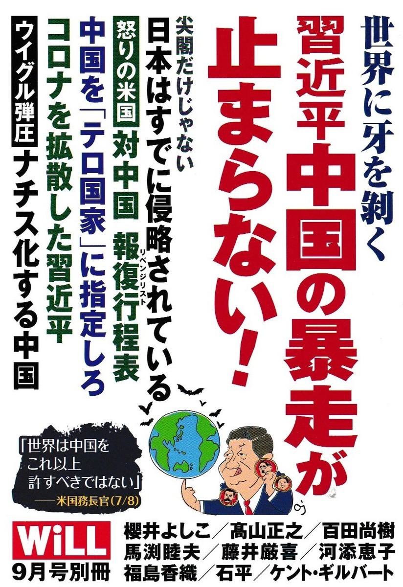 f:id:satoumamoru:20200804114323j:plain