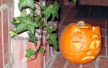 f:id:satox:20061101150013j:image f:id:satox:20061101150013j:image