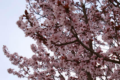 f:id:satox:20070225011954j:image f:id:satox:20070225011954j:image