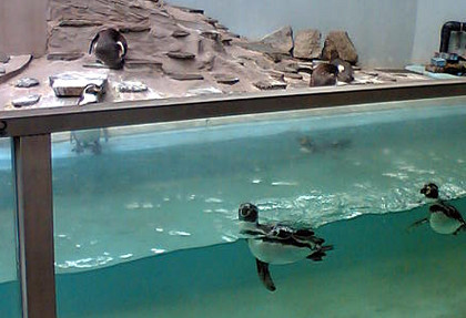 f:id:satox:20080505190551j:image f:id:satox:20080505190551j:image