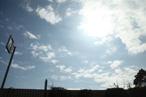 f:id:satox:20090301191433j:image f:id:satox:20090301191433j:image