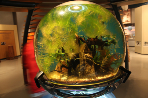 f:id:satox:20090303082300j:image f:id:satox:20090303082300j:image
